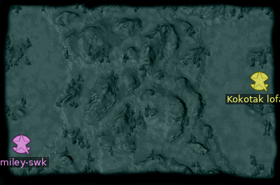 Mapa terenu