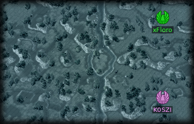 Minimap