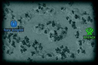 Minimap
