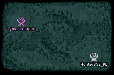 Minimap