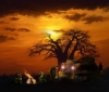Artwork-evening