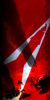 RU Interface