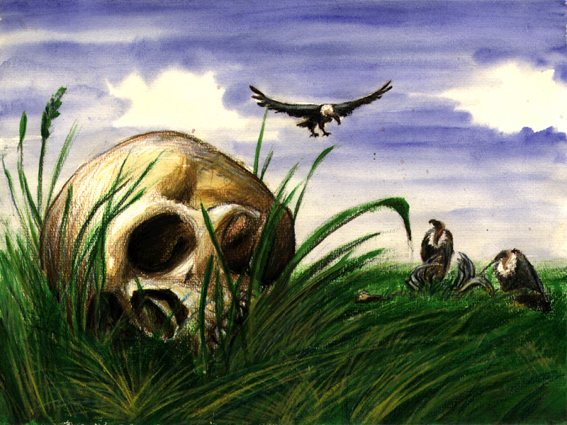 Vultures